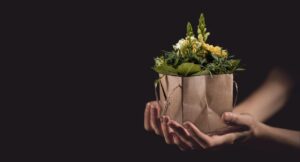 OFRENDA AZUCENAS